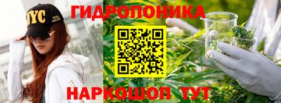 гидра Усть-Джегута