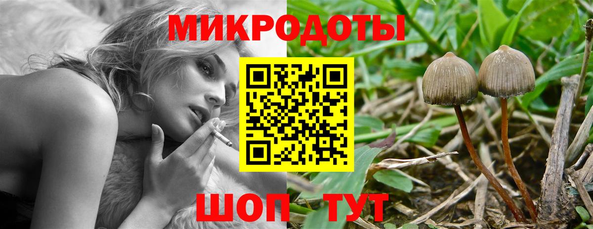 Псилоцибиновые грибы прущие грибы  Галлюциногенные грибы Psilocybine cubensis  Вход с VPN  Братск 