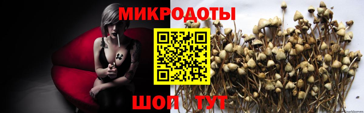 Псилоцибиновые грибы ЛСД Братск